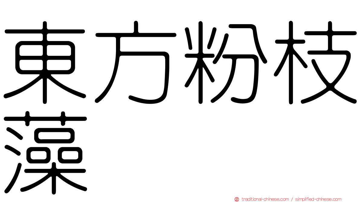 東方粉枝藻