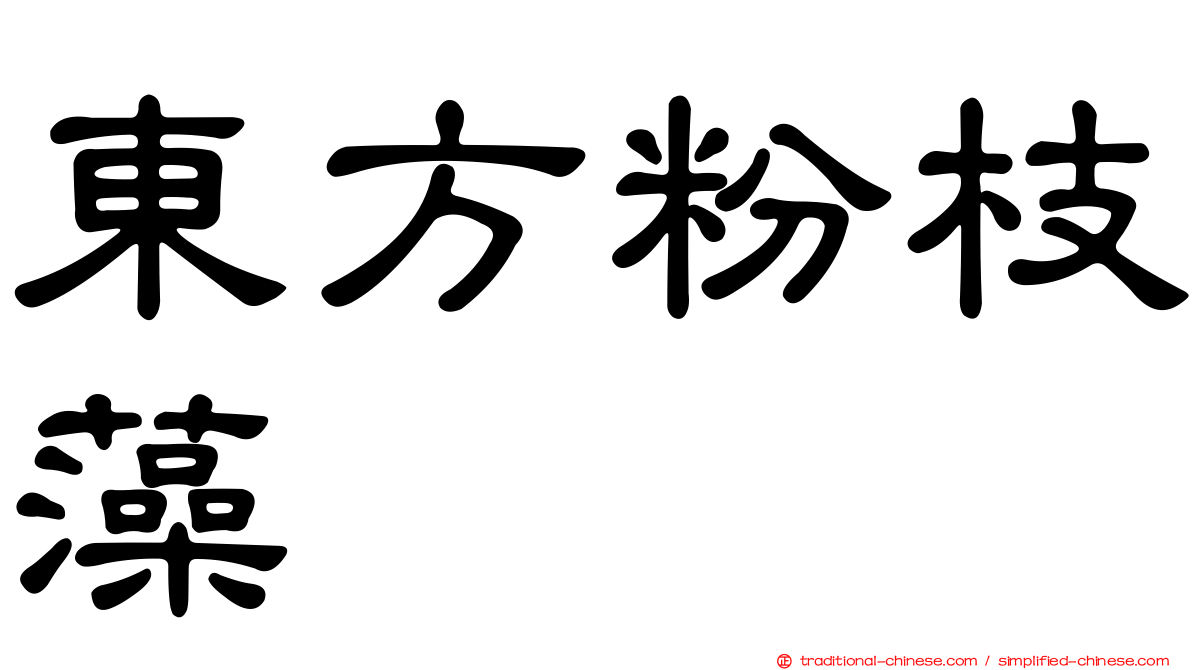 東方粉枝藻