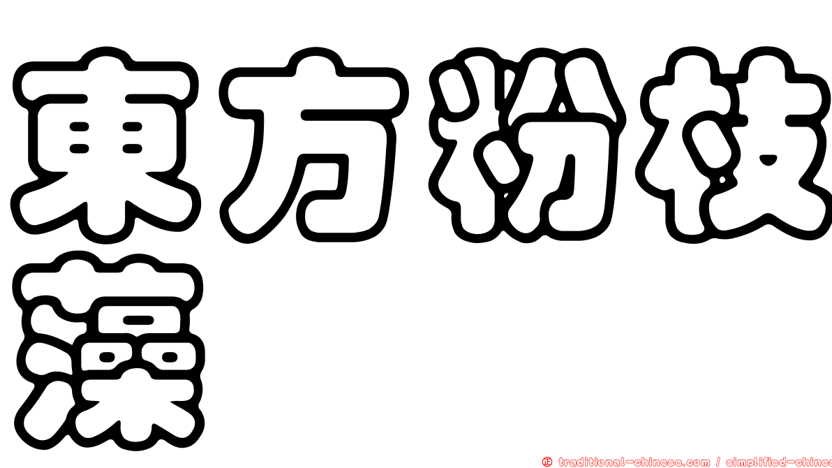 東方粉枝藻