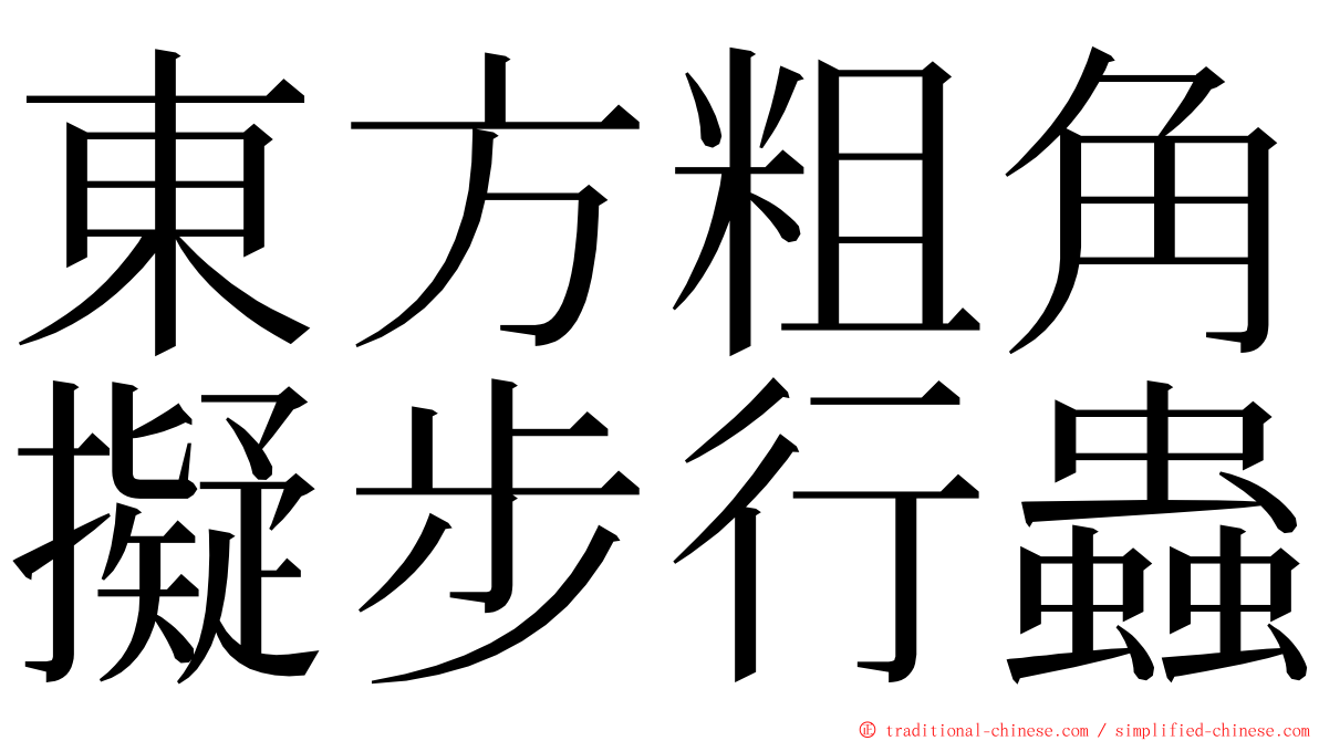 東方粗角擬步行蟲 ming font