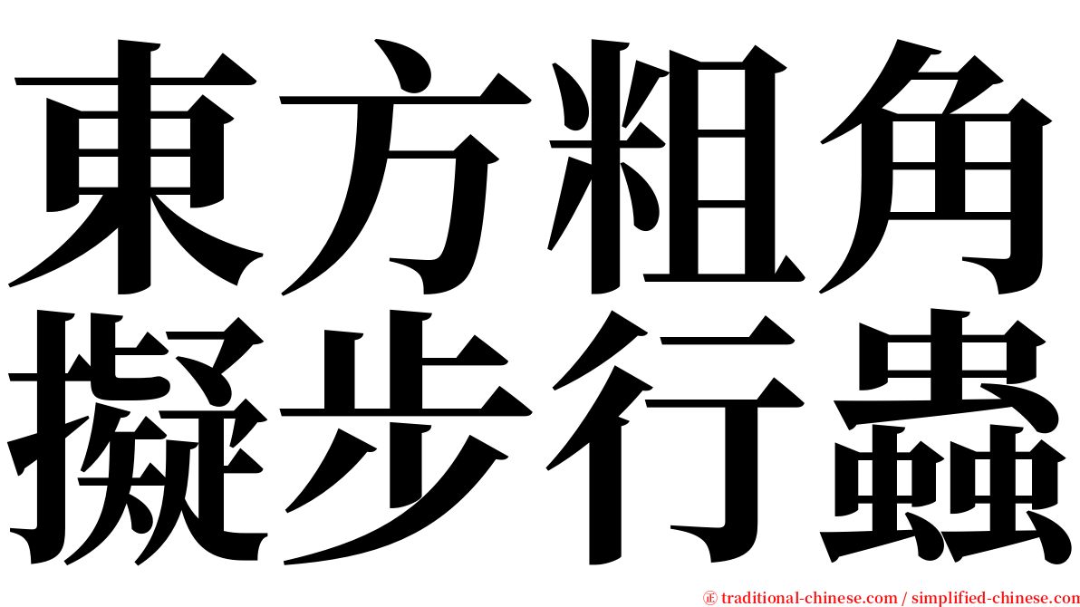 東方粗角擬步行蟲 serif font