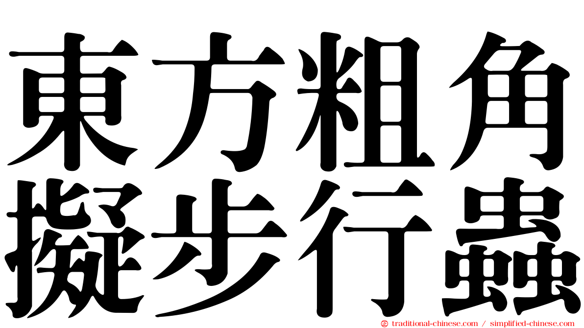 東方粗角擬步行蟲