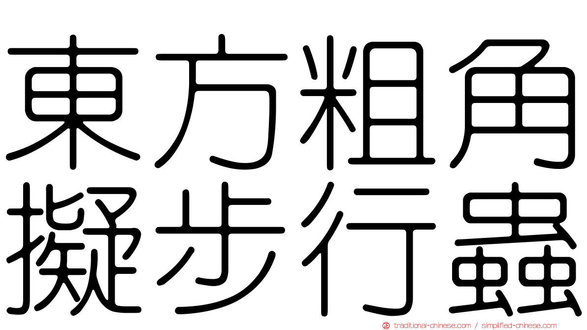 東方粗角擬步行蟲