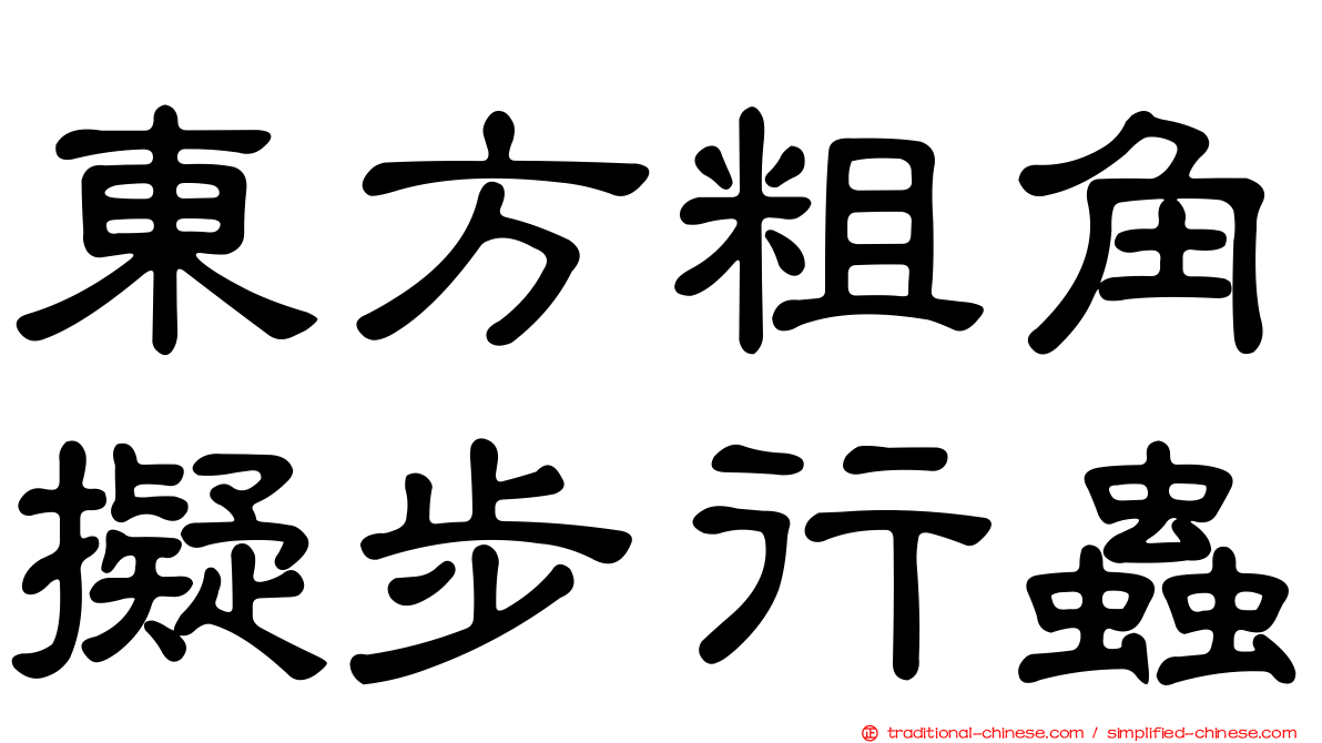 東方粗角擬步行蟲