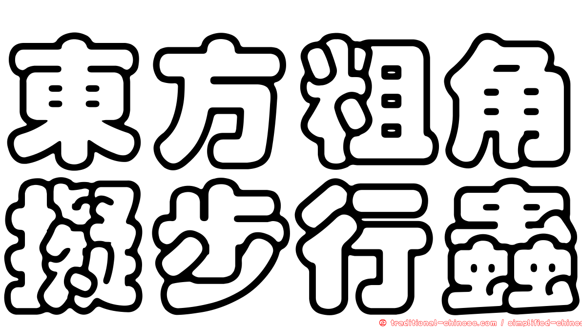 東方粗角擬步行蟲