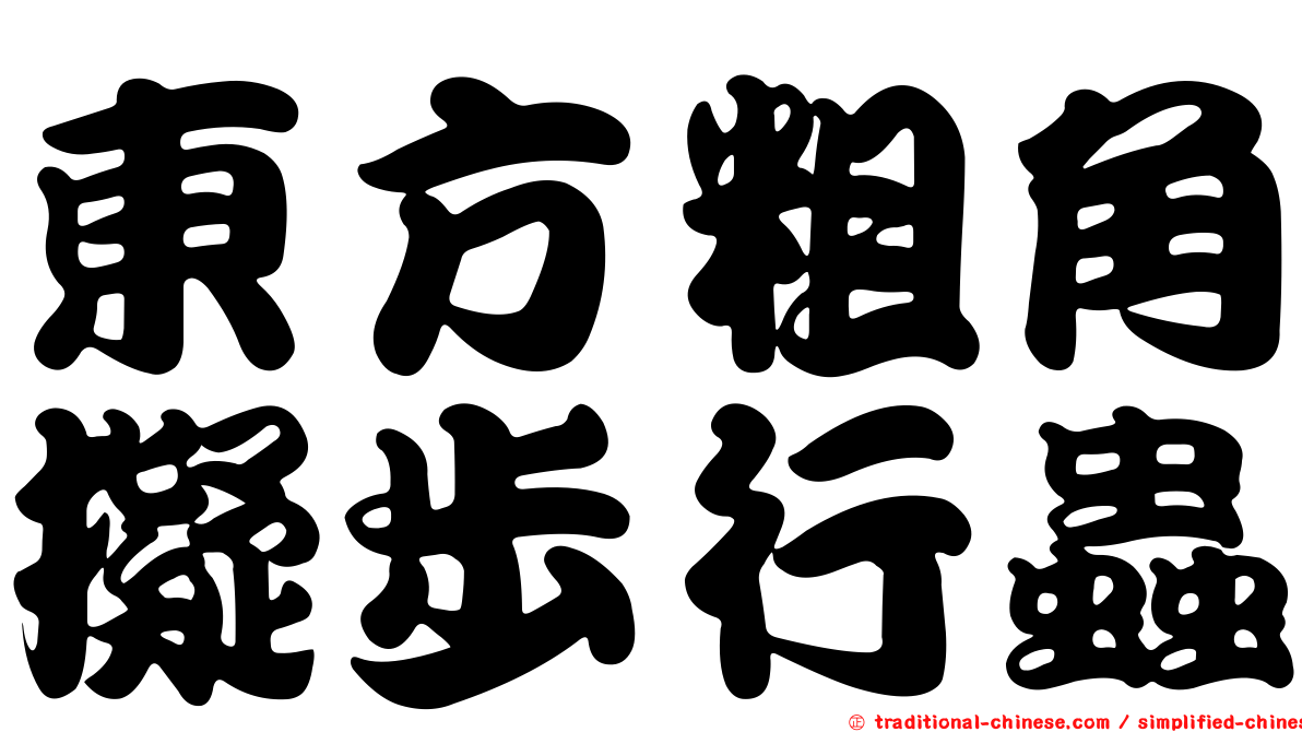 東方粗角擬步行蟲