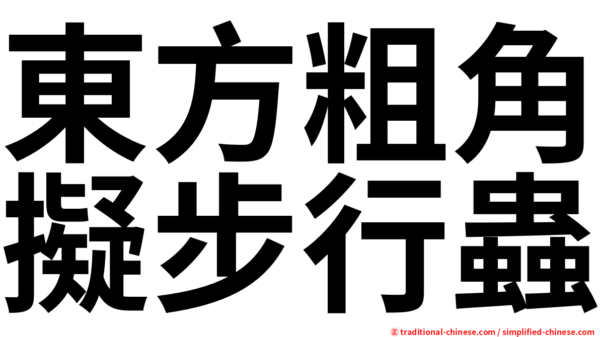 東方粗角擬步行蟲