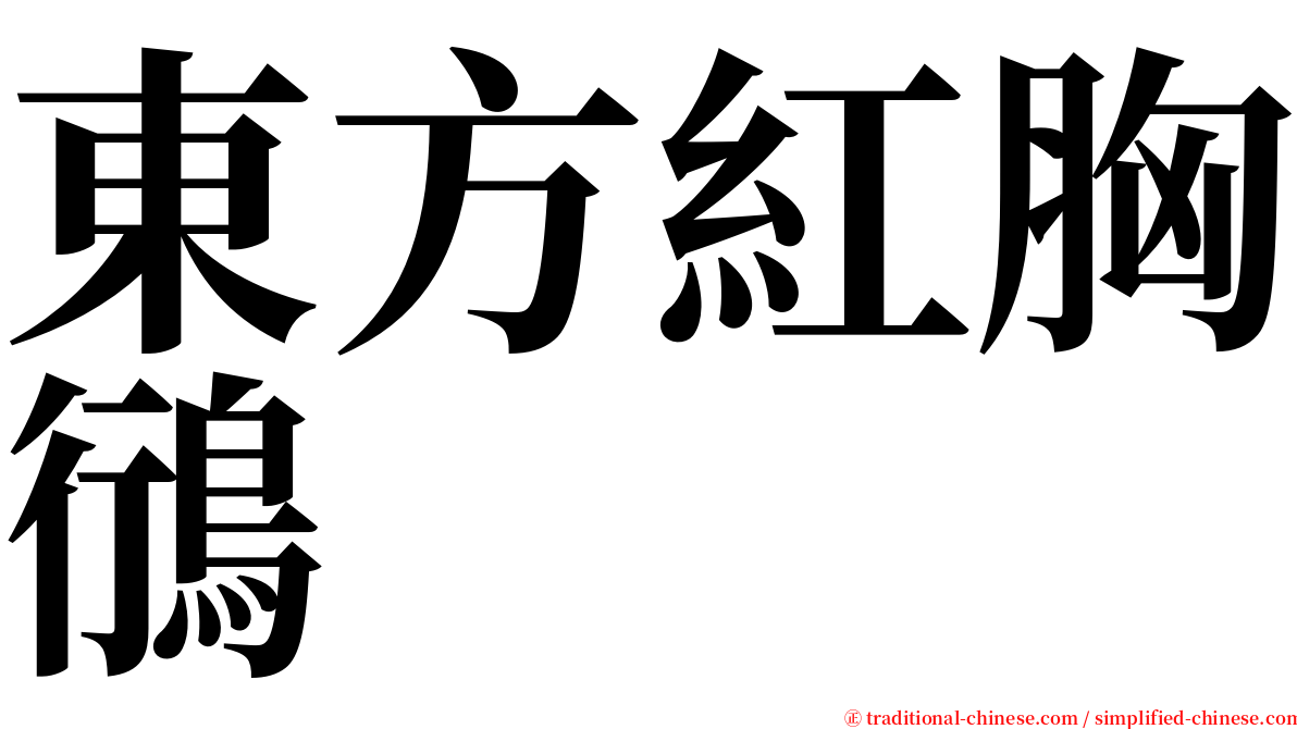 東方紅胸鴴 serif font