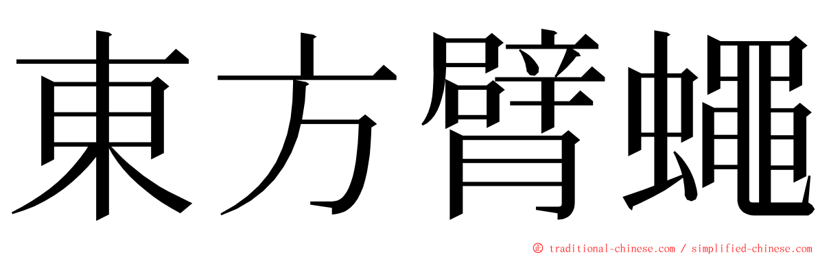 東方臂蠅 ming font