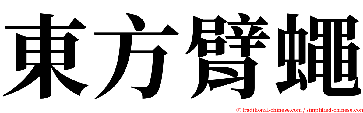 東方臂蠅 serif font