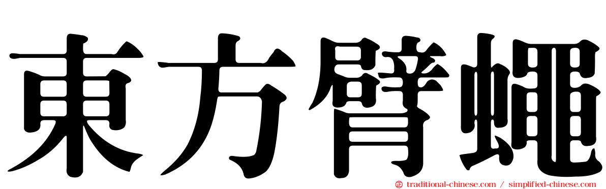 東方臂蠅