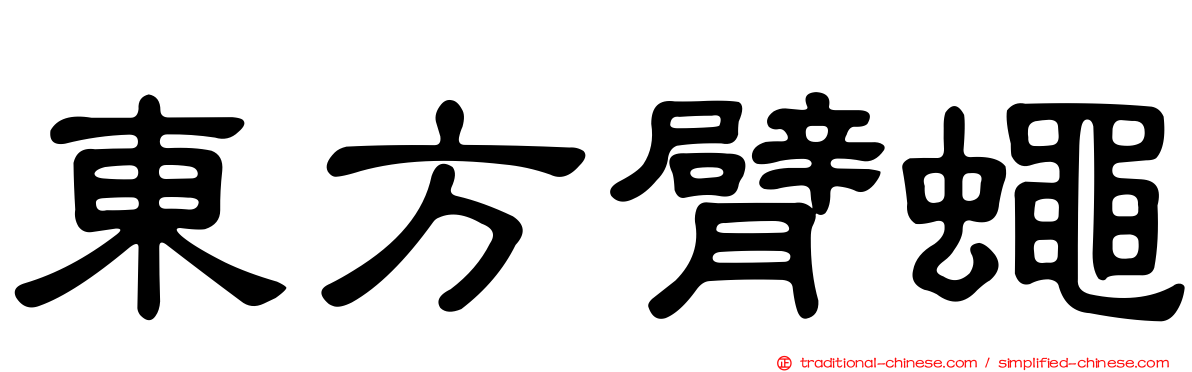 東方臂蠅
