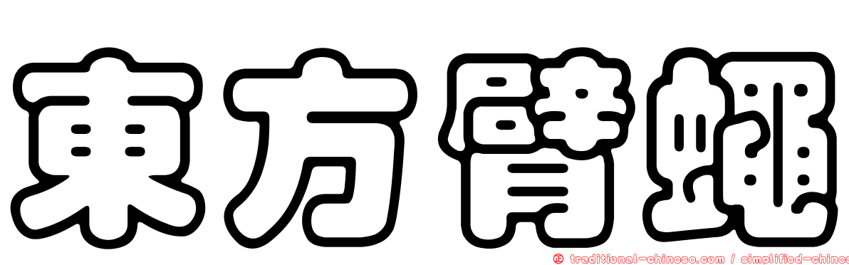 東方臂蠅
