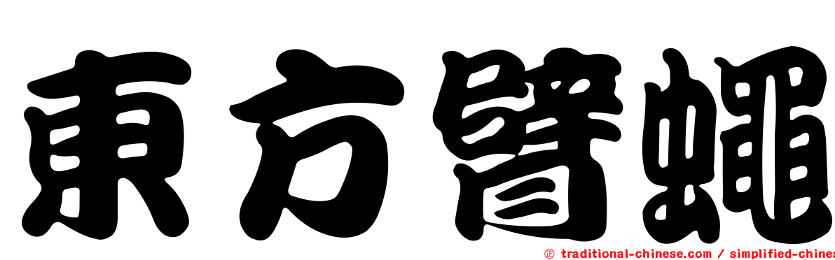 東方臂蠅