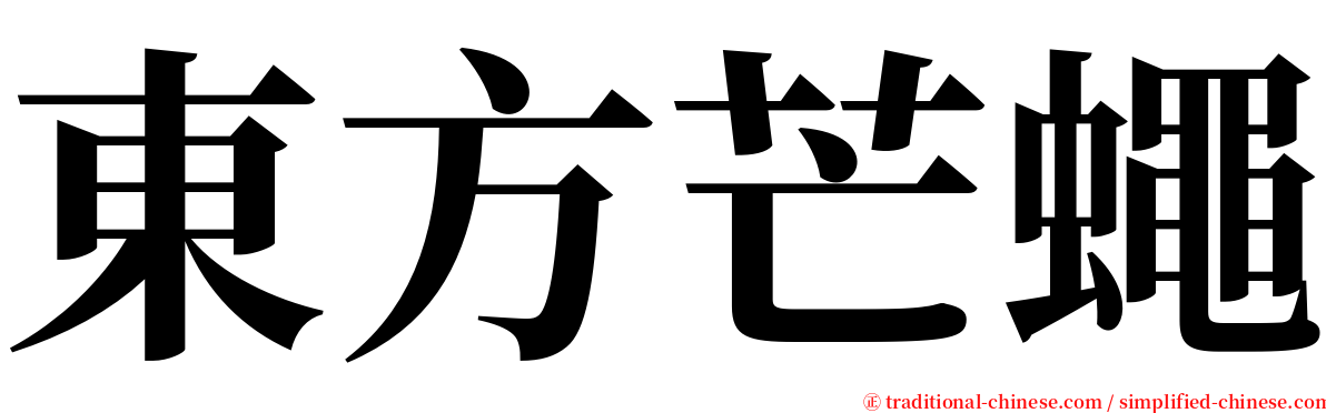 東方芒蠅 serif font