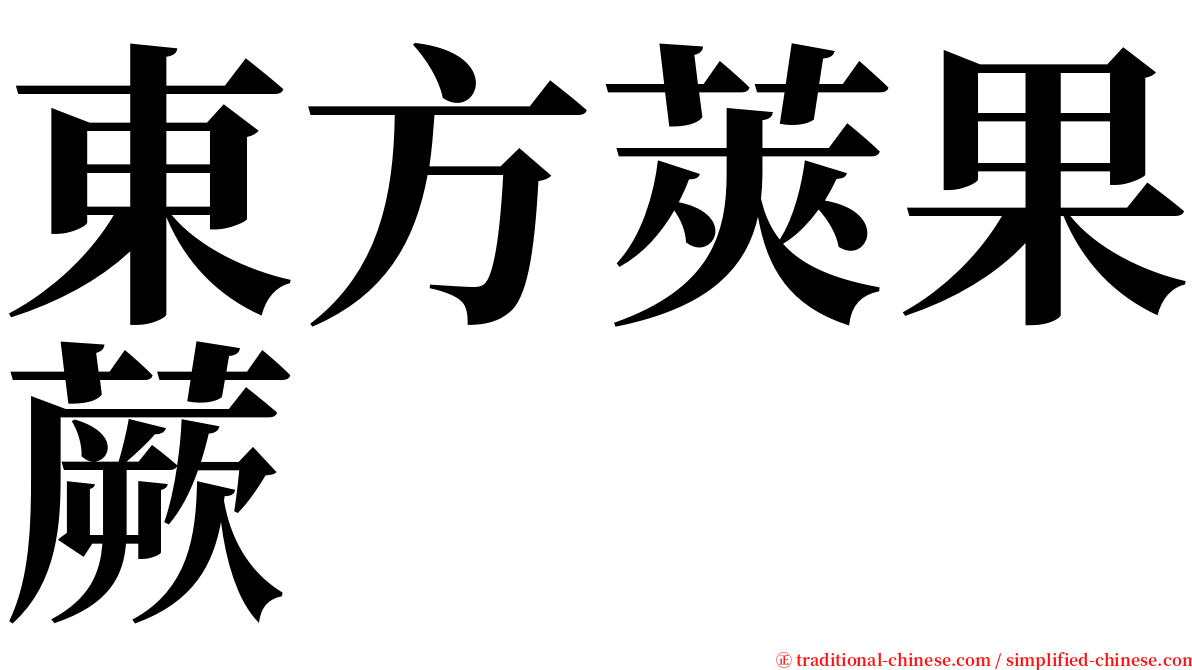 東方莢果蕨 serif font