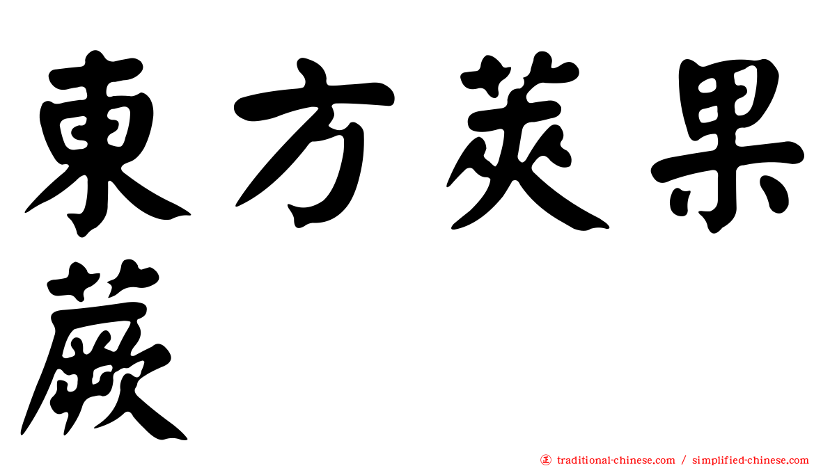 東方莢果蕨