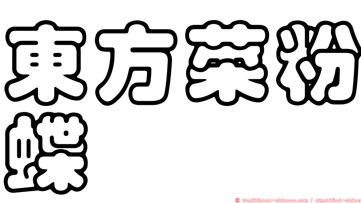 東方菜粉蝶