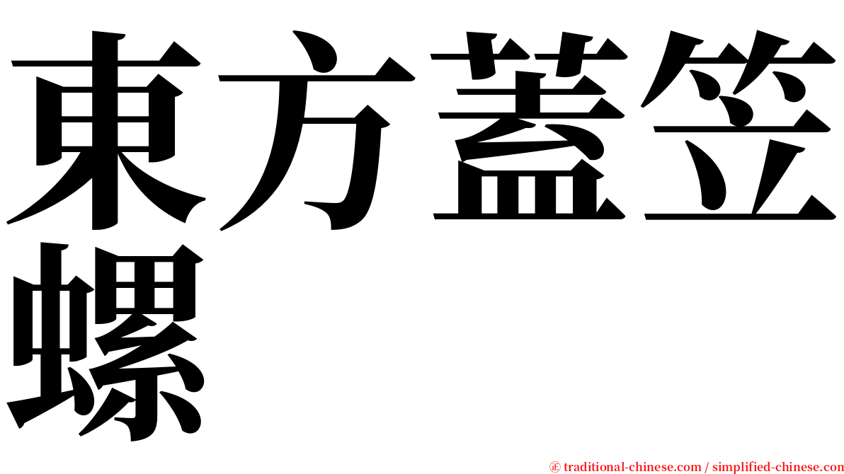 東方蓋笠螺 serif font