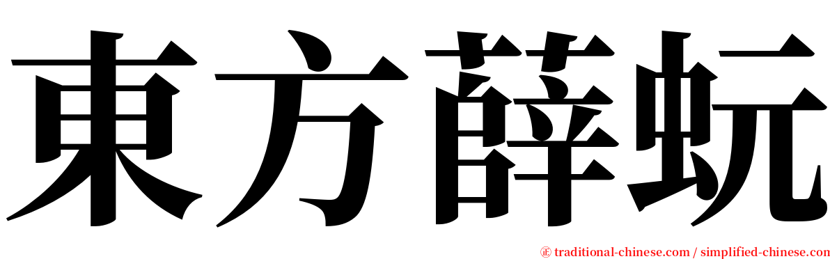 東方薛蚖 serif font