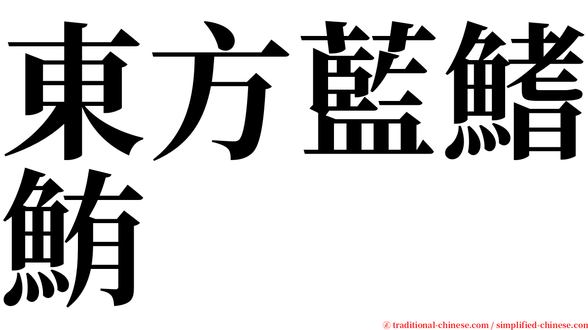 東方藍鰭鮪 serif font