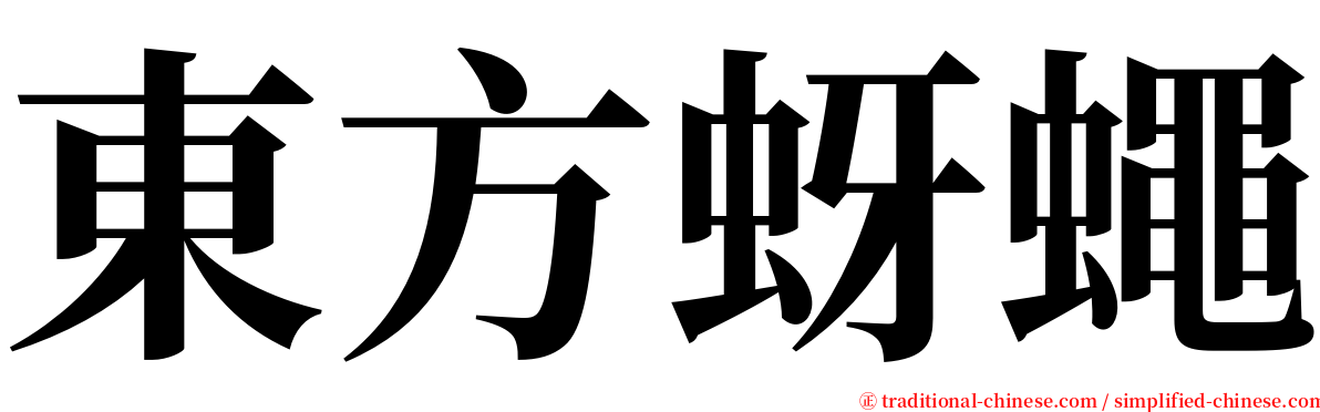 東方蚜蠅 serif font