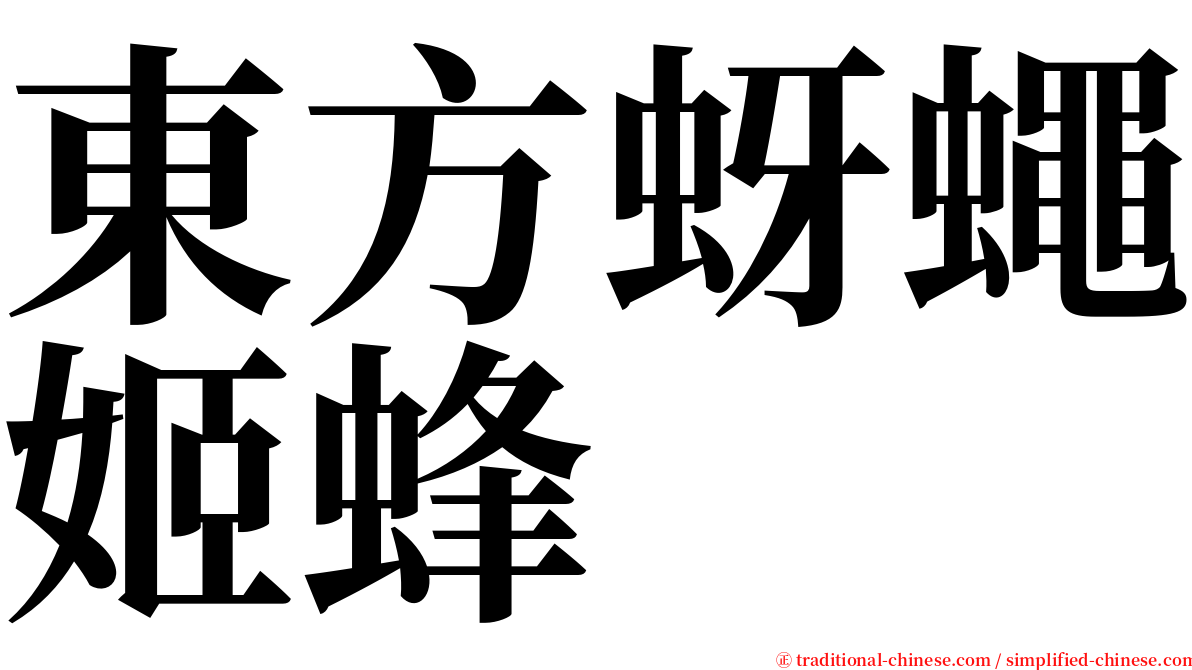 東方蚜蠅姬蜂 serif font