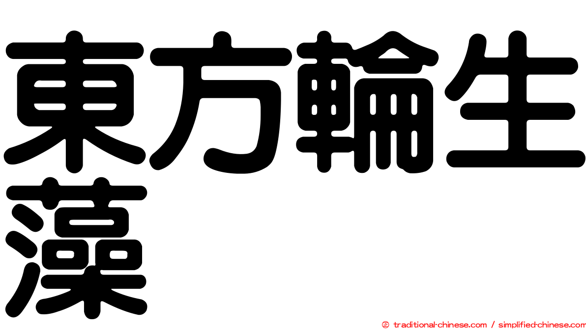 東方輪生藻
