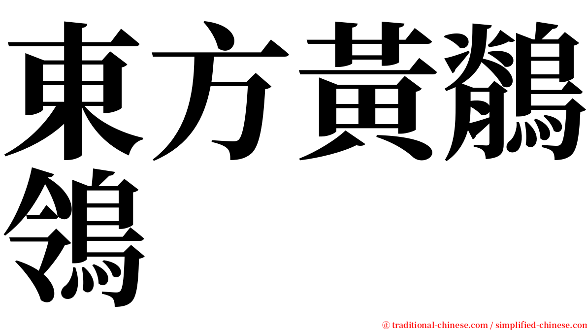 東方黃鶺鴒 serif font