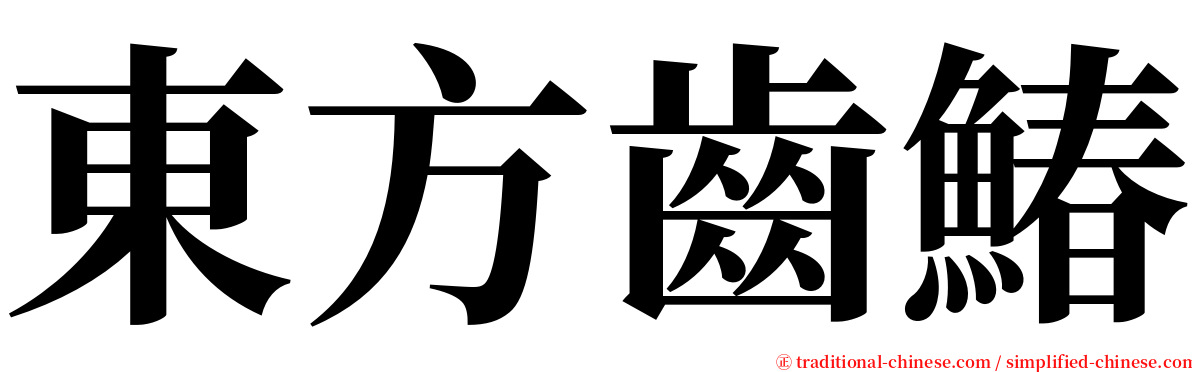 東方齒鰆 serif font