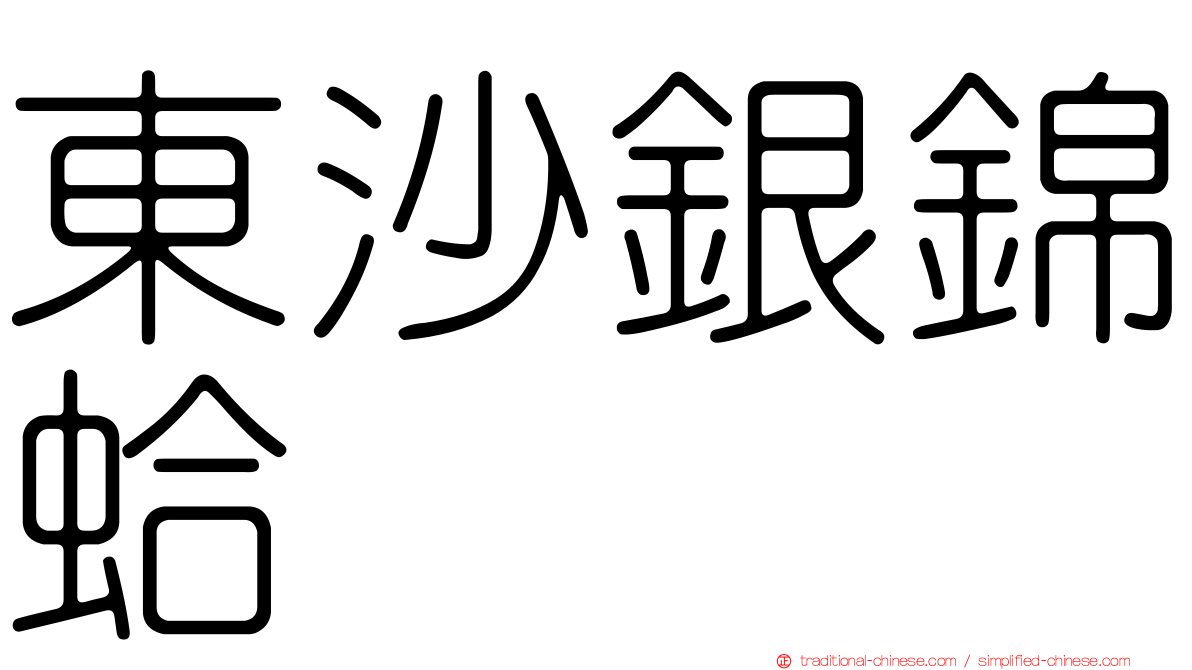 東沙銀錦蛤