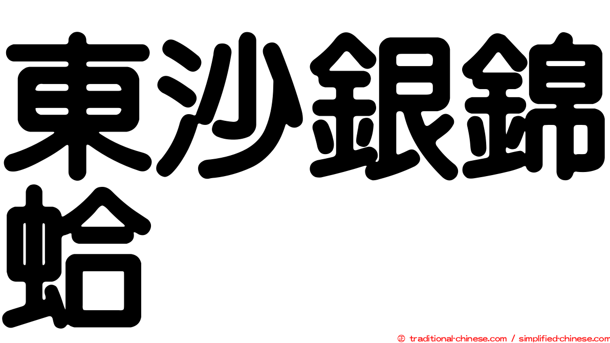 東沙銀錦蛤