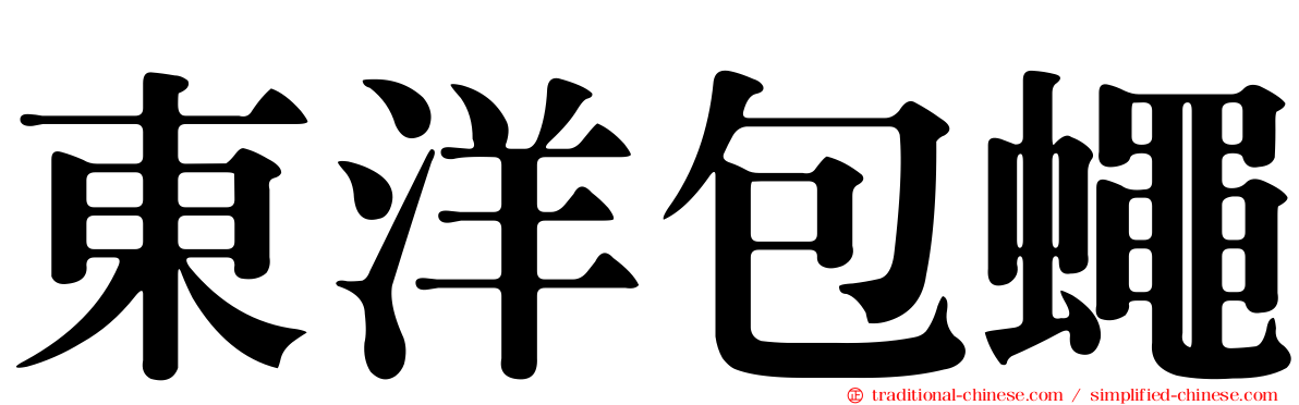 東洋包蠅