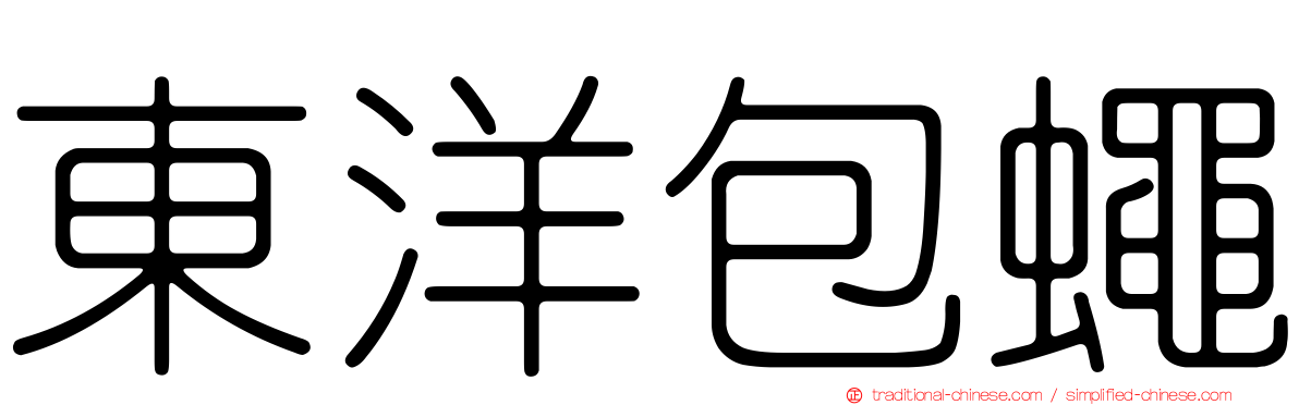 東洋包蠅