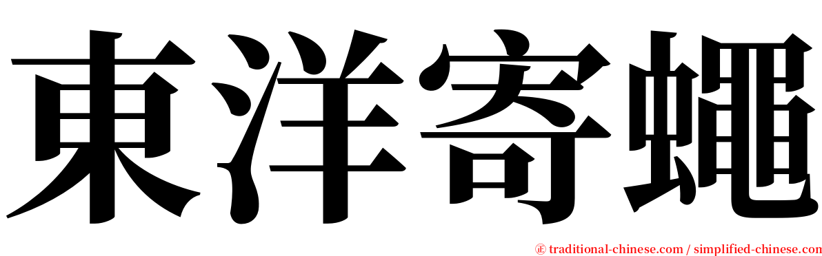 東洋寄蠅 serif font