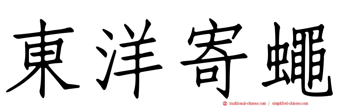 東洋寄蠅