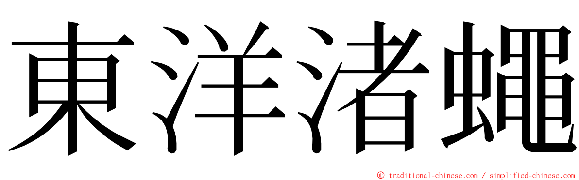 東洋渚蠅 ming font