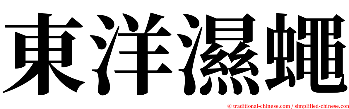 東洋濕蠅 serif font