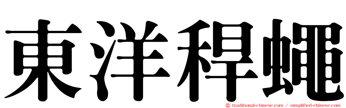 東洋稈蠅