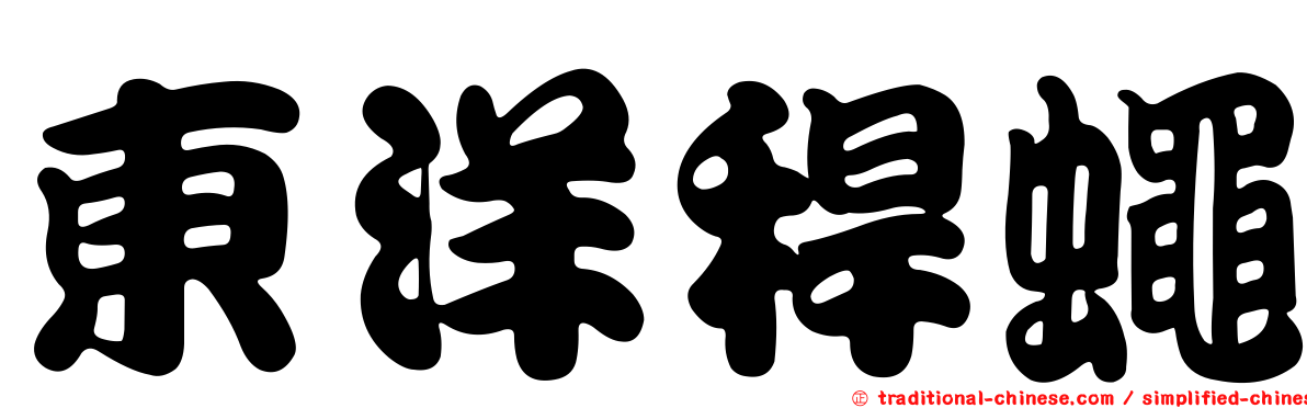 東洋稈蠅