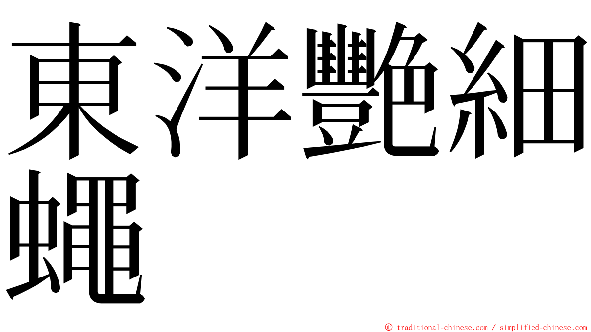 東洋艷細蠅 ming font