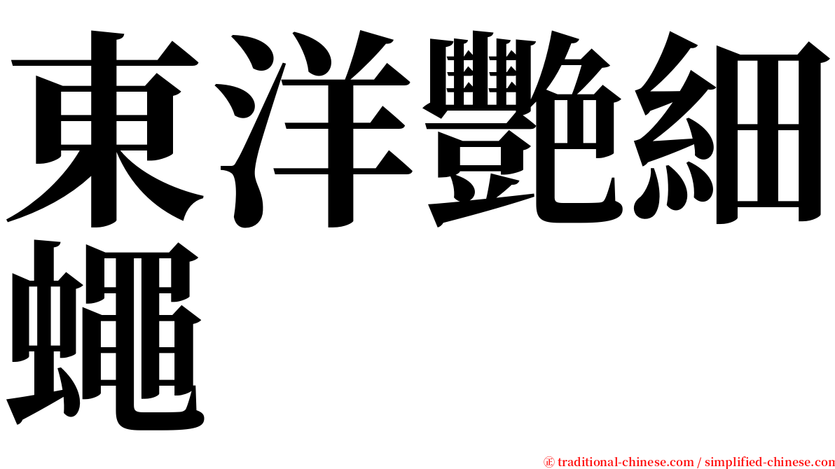 東洋艷細蠅 serif font