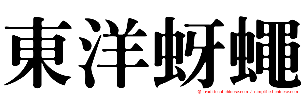 東洋蚜蠅