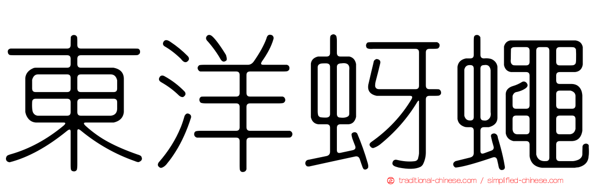 東洋蚜蠅