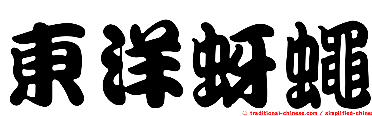 東洋蚜蠅