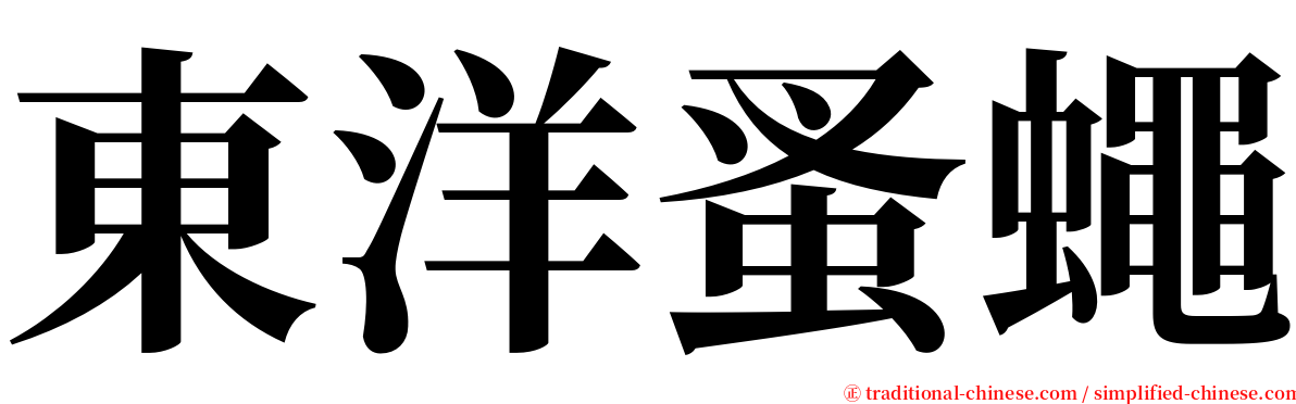 東洋蚤蠅 serif font