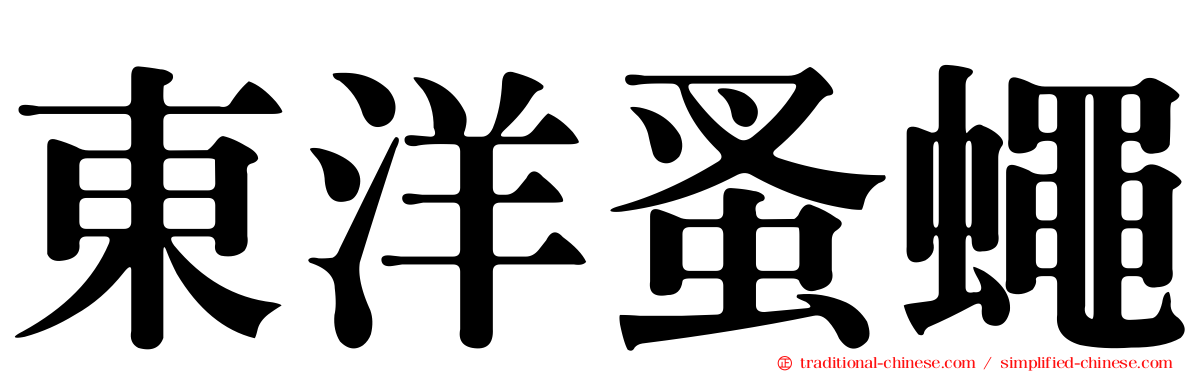 東洋蚤蠅