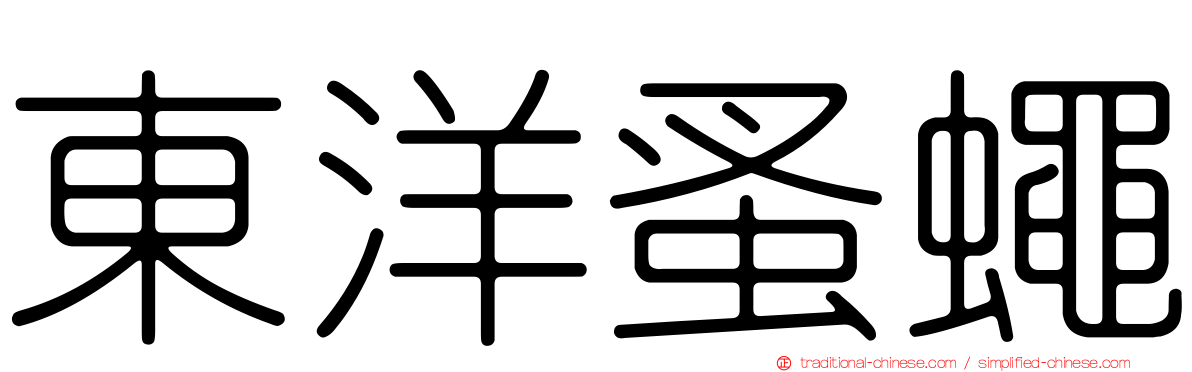 東洋蚤蠅