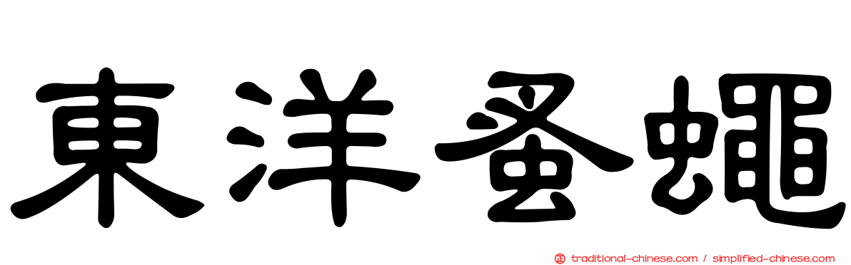 東洋蚤蠅