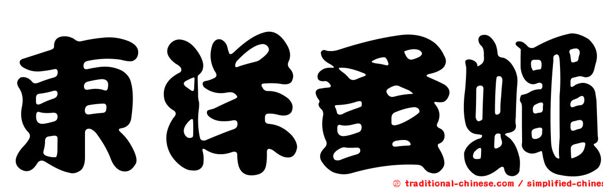 東洋蚤蠅